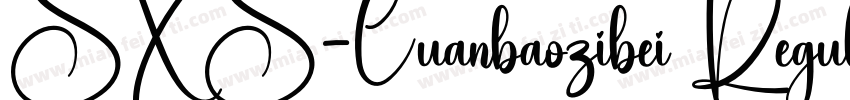 SXS-Cuanbaozibei Regular字体转换